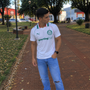 Camisa Palmeiras II 2026/27